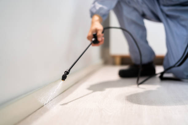 Licensed Pest Control service in Washington County County, RI - Nex Pest Control
