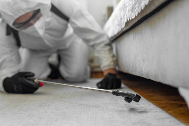 Professional Pest Control technician working in Washington County County, RI